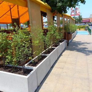 Jardinera de Cemento