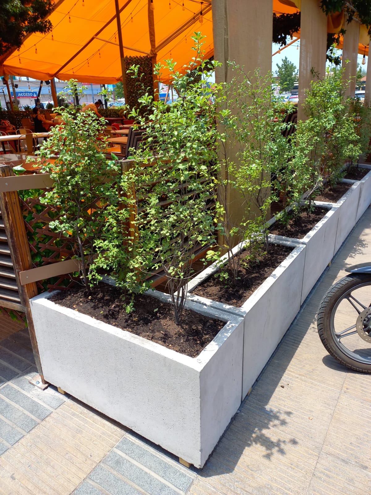 Jardinera de Cemento Jardinera de Cemento