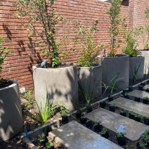 Macetero Cilindro de Cemento