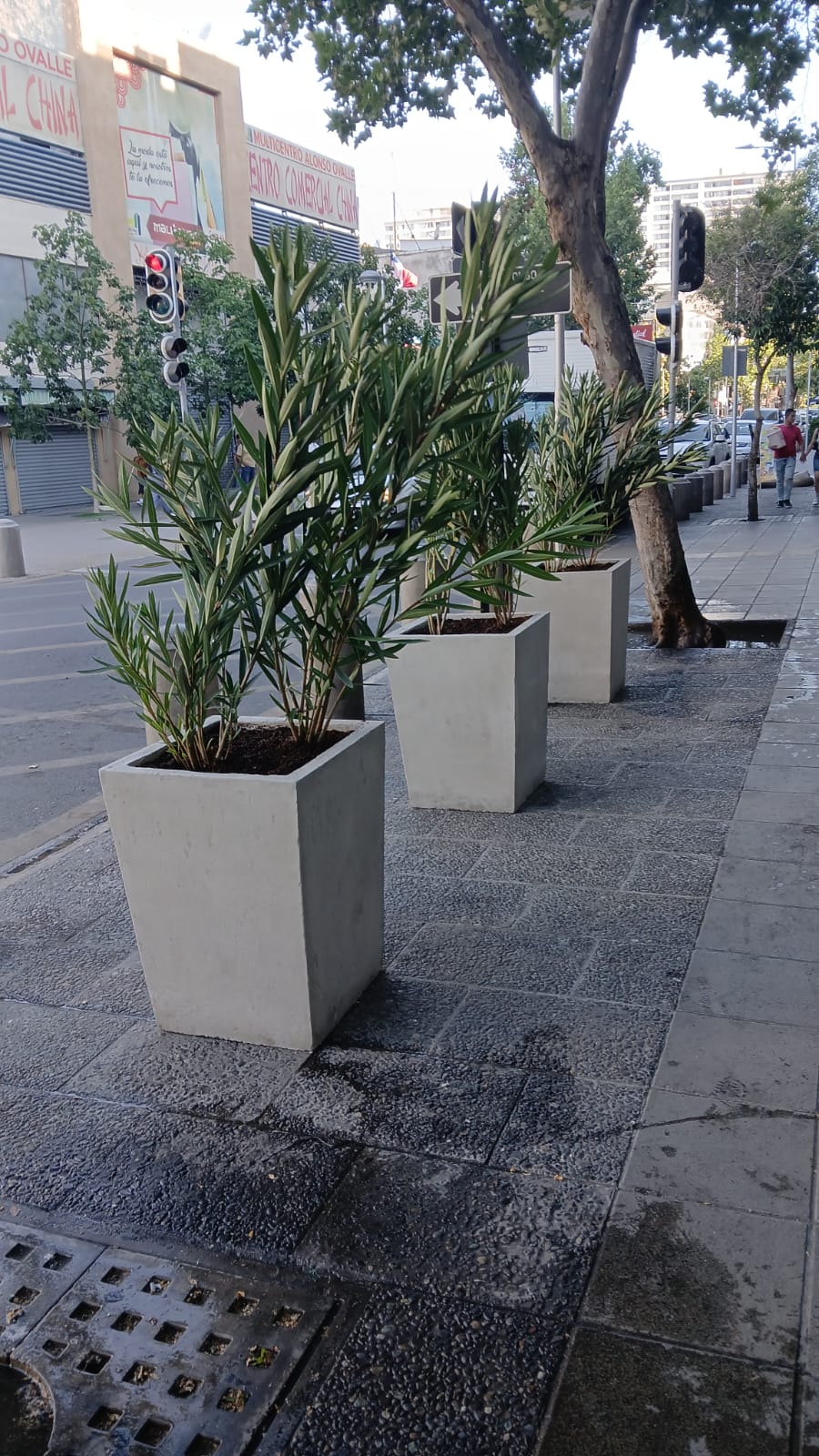 Macetero Piramidal de Cemento