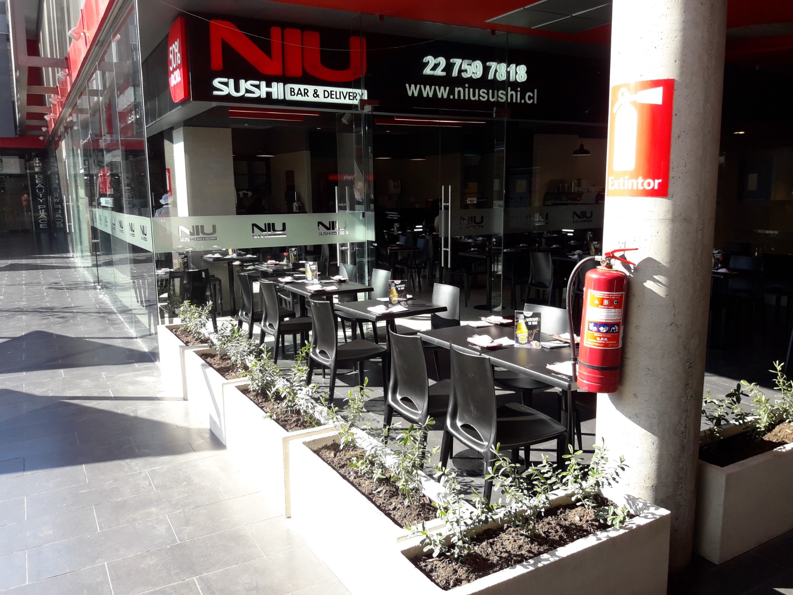 Jardinera de Cemento Jardinera de Cemento