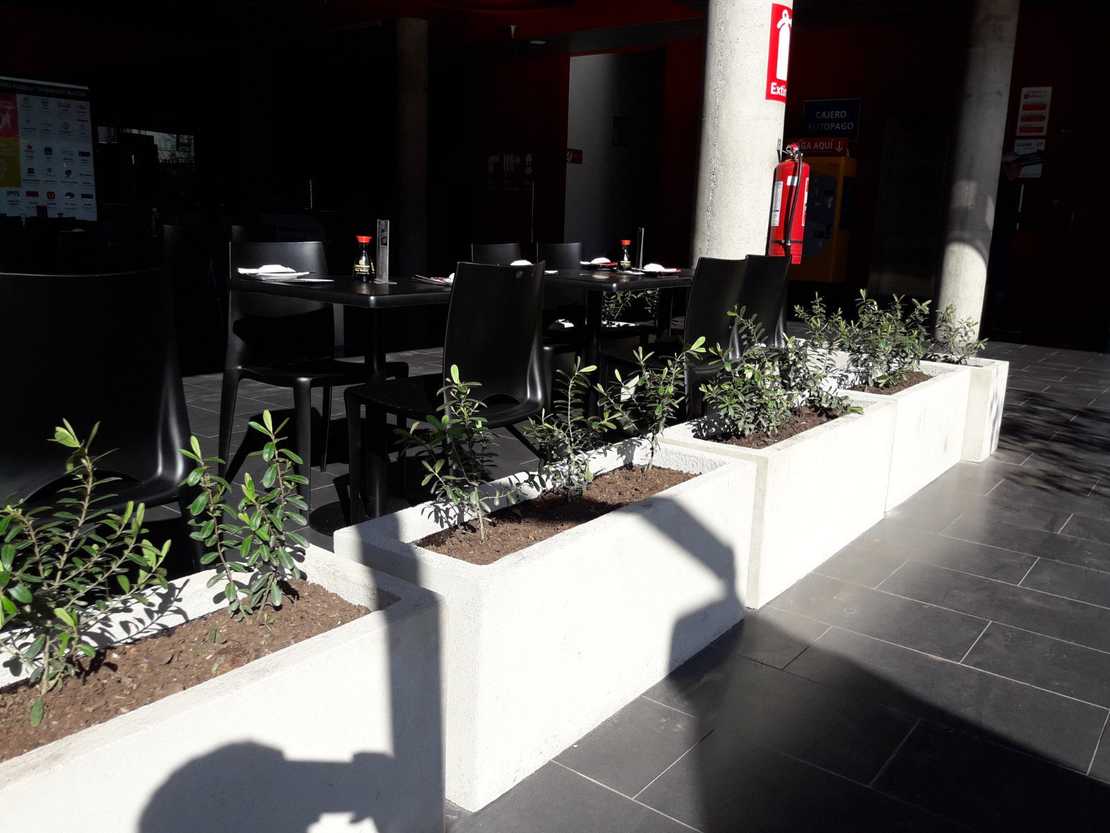 Jardinera de Cemento Jardinera de Cemento