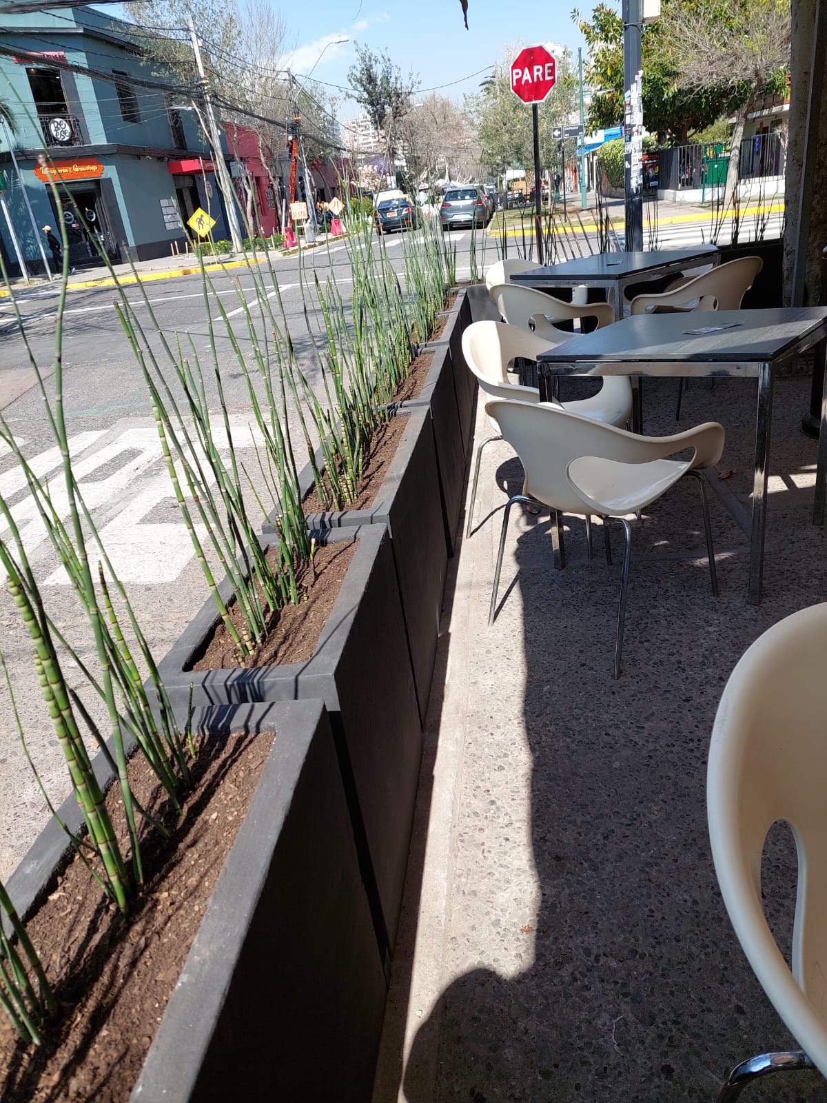 Jardinera de Cemento Jardinera de Cemento