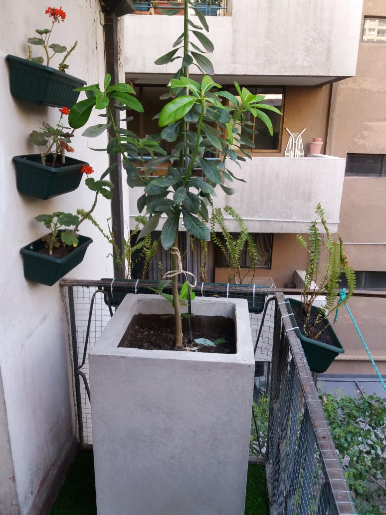 Macetero Cubo Prisma de Cemento Macetero Cubo Prisma de Cemento