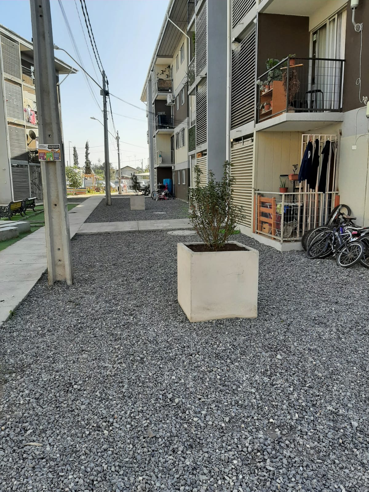 Macetero Cubo de Cemento Macetero Cubo de Cemento
