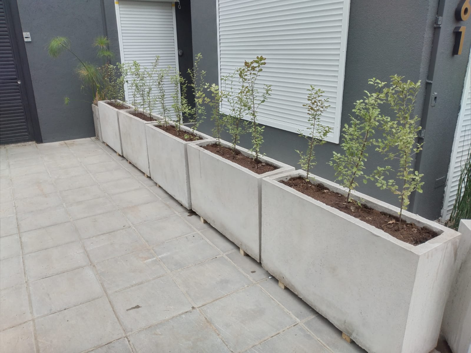 Jardinera de Cemento Jardinera de Cemento