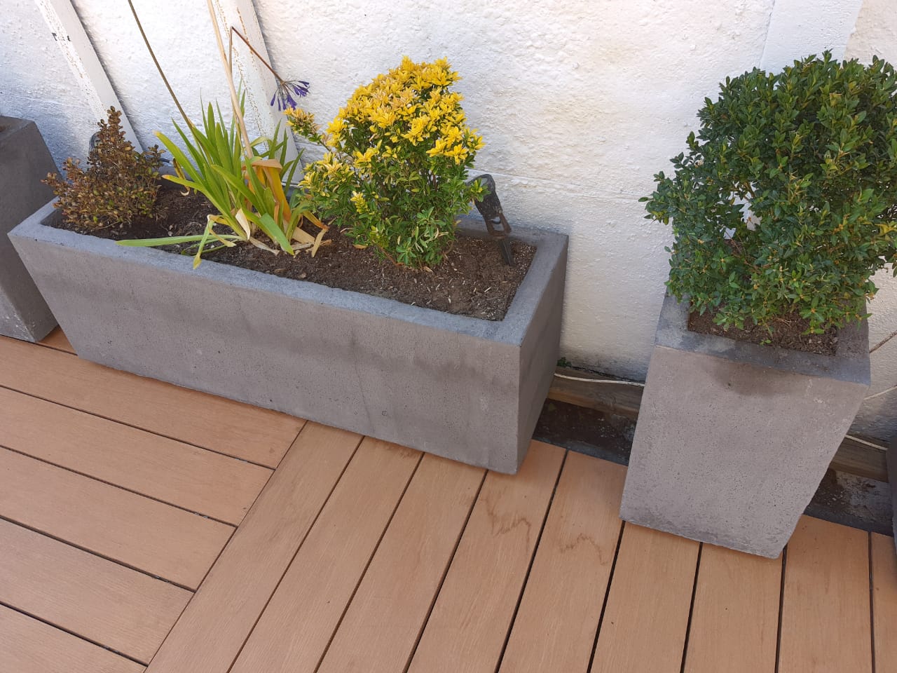 Jardinera de Cemento Jardinera de Cemento