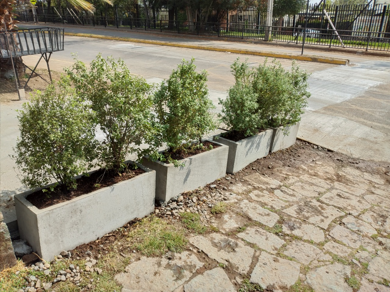 Jardinera de Cemento Jardinera de Cemento