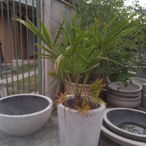 Macetero Cono de Cemento